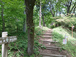 登山道