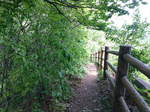 登山道