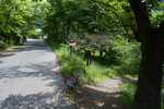 荒川沿い
