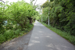 川沿いの道