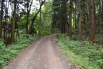 登山道
