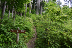山道