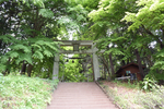 奥宮