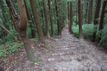 下山道