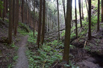 下山道