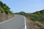 連絡道2