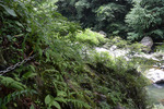 鎖場