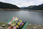 味噌汁