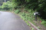 渓谷分岐