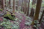 下山道2