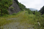 林道分岐2
