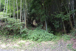 水路沿い
