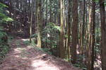 温石峠2