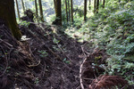 山道