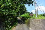 登山口2