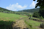 果樹園