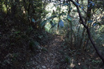 山道2