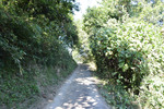 山道3