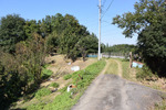 山道4