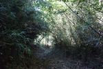 山道5