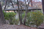 観音山山頂2