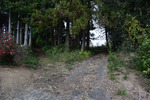 山道へ