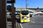 バス