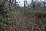 登山道2