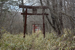 下山道