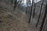 山道