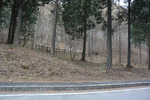 隣接林道