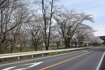 渋川総合公園