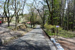渋川総合公園2
