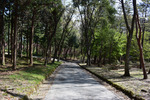 渋川総合公園3