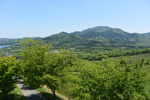 子持山方面