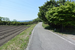 歩道2