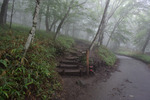 登山道入口