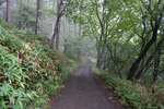 登山道