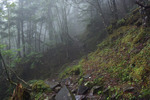 下山道2