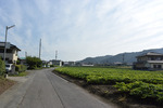 コース途中