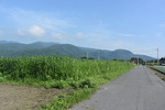 子持山方面