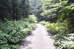 山道