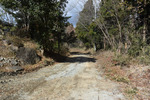 山道入口