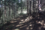 山道