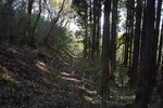 再度山道