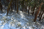 山道