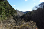 廃道より