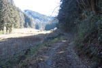 里山歩き