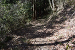 山道