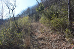 山道